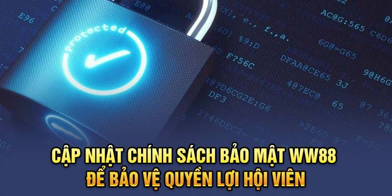 Nội dung chính cần nắm trong chính sách bảo mật