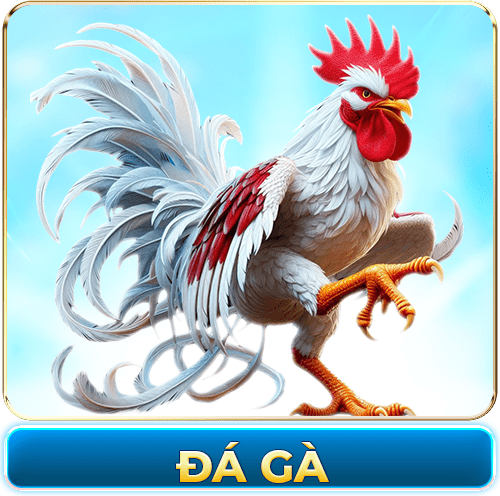 da ga ww88