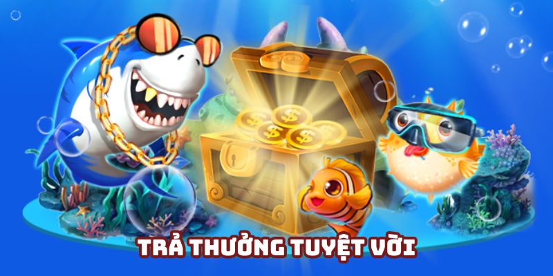 Hệ số thanh toán hấp dẫn với nhiều giá trị cao