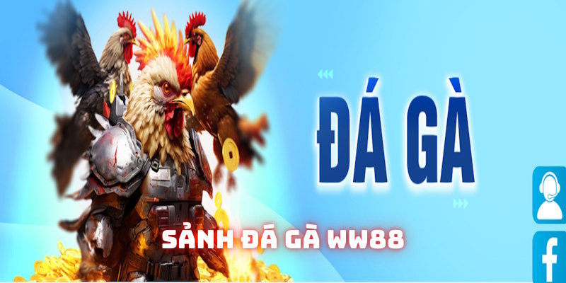 Đá gà WW88 tạo nên nhiều sự kịch tính